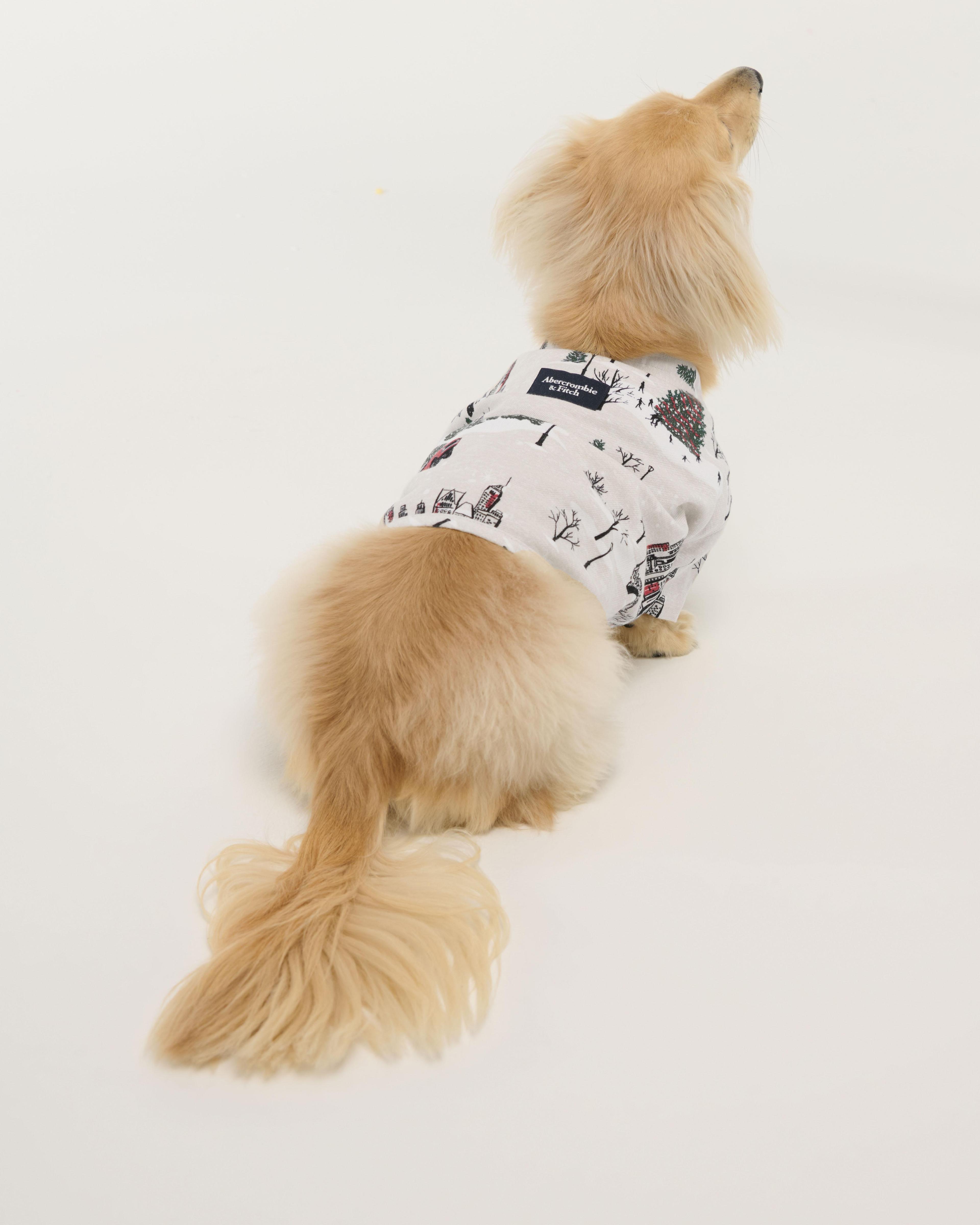 A&F Pet Flannel Product Image