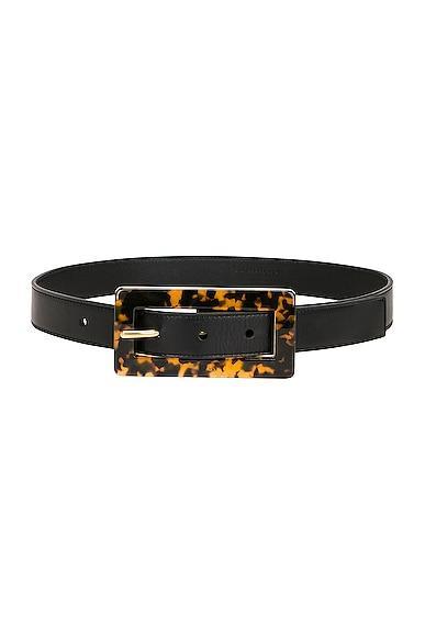 Saint Laurent Leather Belt in Brown Product Image