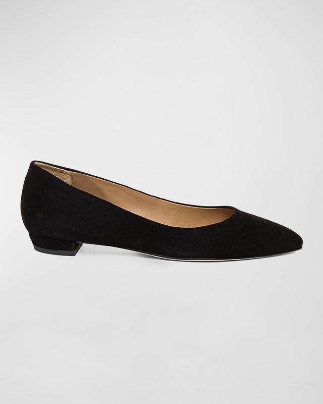 BERNARDO FOOTWEAR Fritz Pointed Toe Flat Product Image