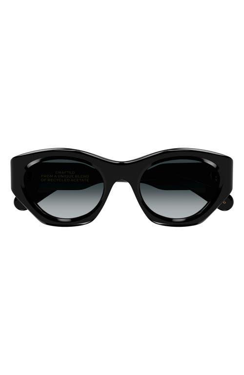 Womens Gayia 53MM Acetate Cat-Eye Sunglasses Product Image