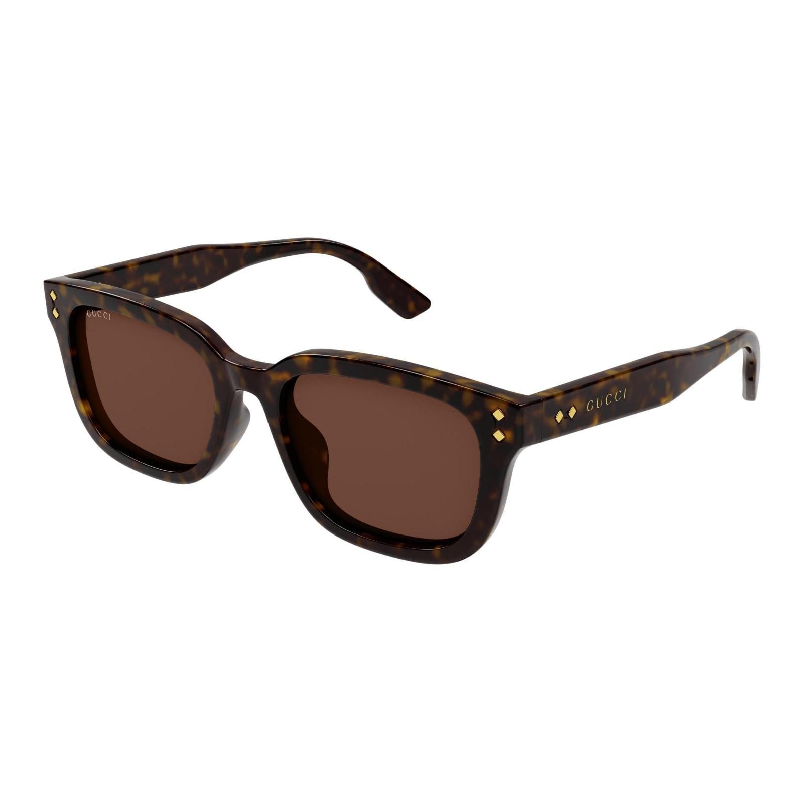 Sunglasses In Marrone/marrone Product Image