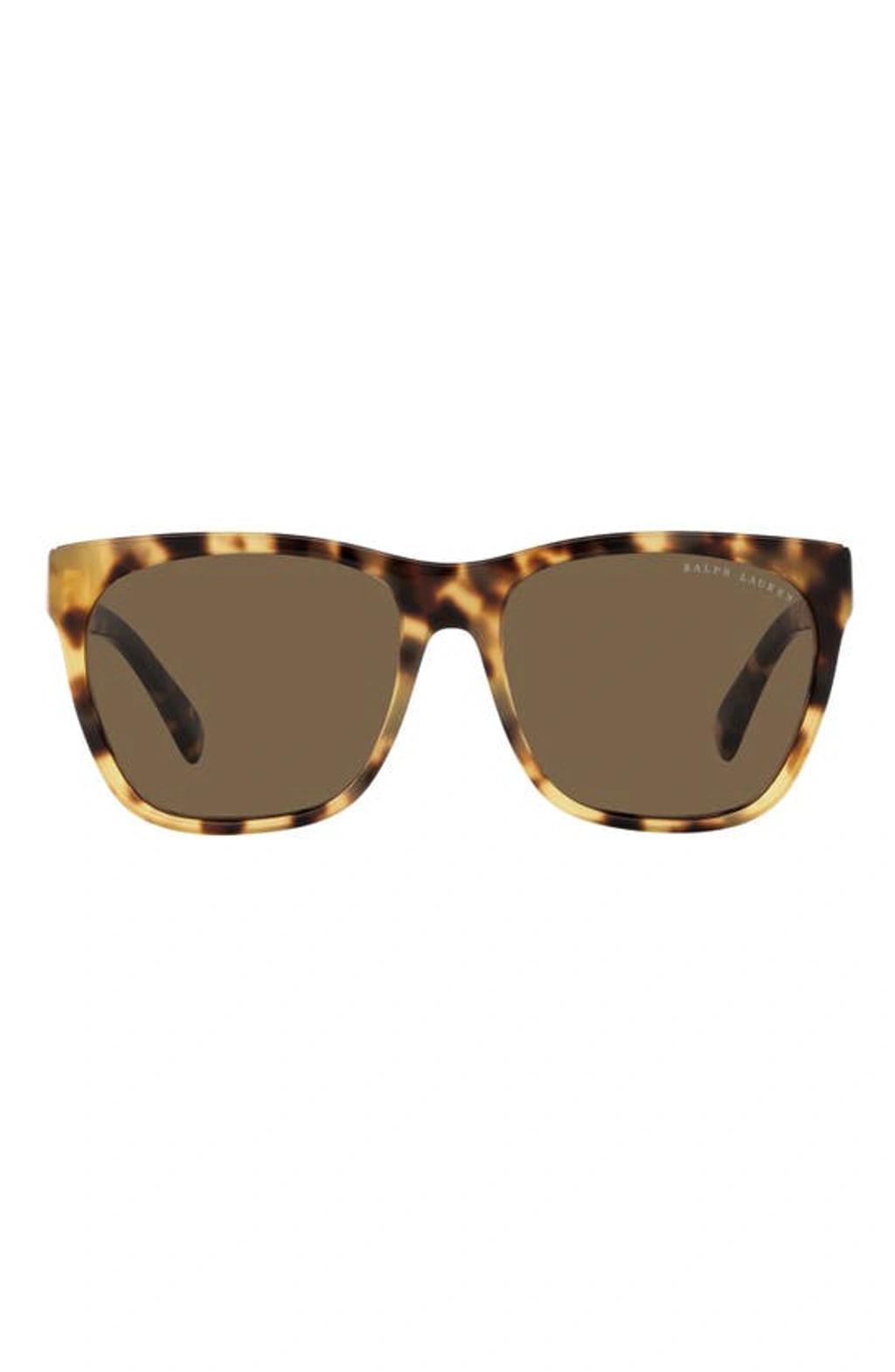 POLO RALPH LAUREN 57mm Square Sunglasses In Havana Product Image