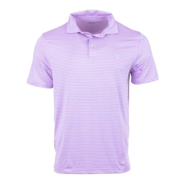 IZOD Men's Clubhouse Bar Polo Product Image