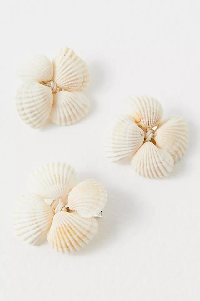 Shell Adornments 3-Pack Product Image