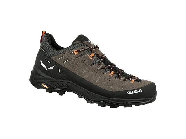 SALEWA Alp Trainer 2 GORE-TEX(r) (Bungee Cord Men's Shoes Product Image