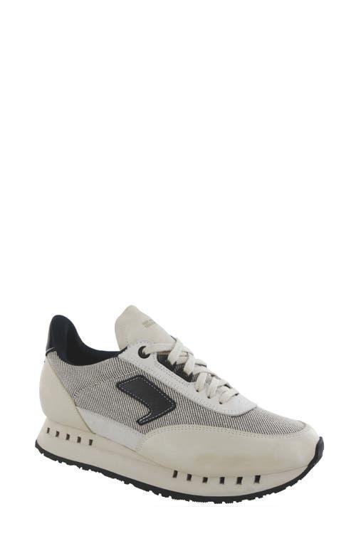 SAS 7eventy6ix Sneaker Product Image