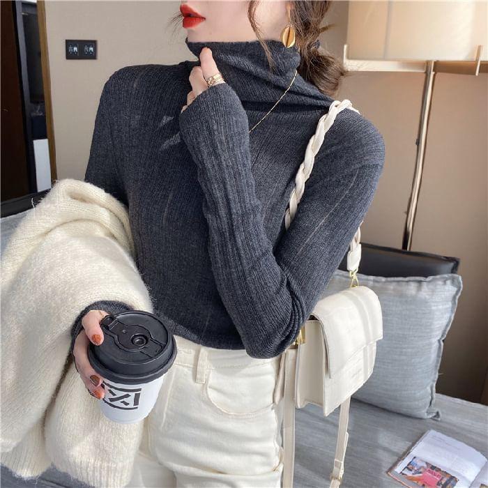 Turtleneck Plain Ribbed Knit Sweater Product Image