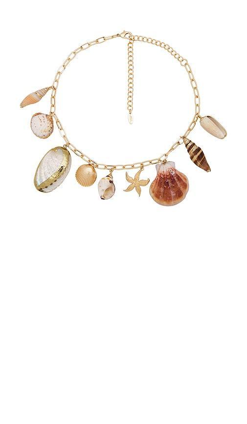 Private Island Assorted Shell Necklace Product Image