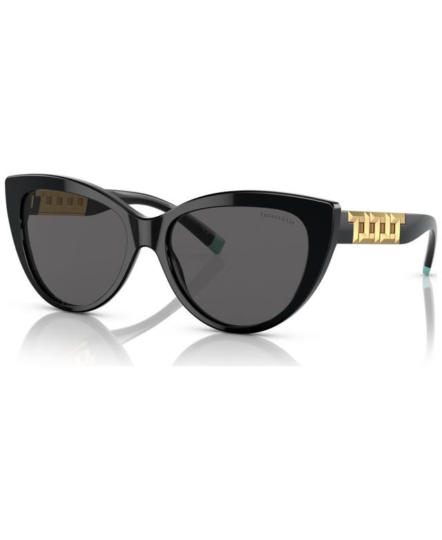 Tiffany & Co. Womens Sunglasses, TF4196 Product Image