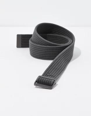 AE Ribbed Web Belt Product Image