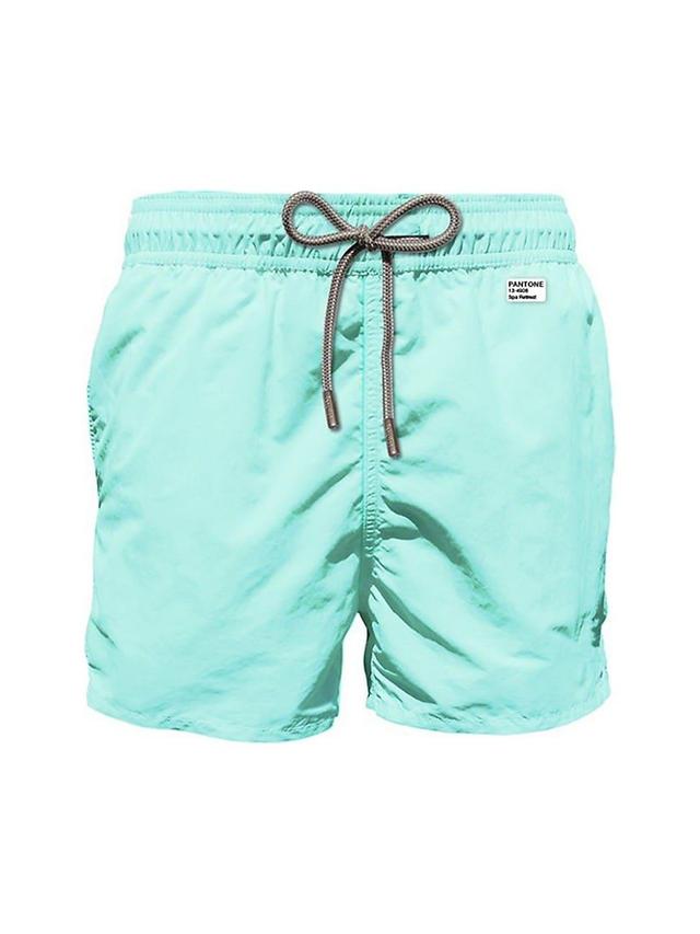 Mens Lighting Pantone Swim Shorts Product Image