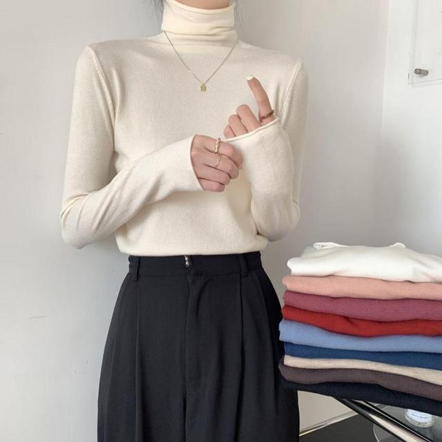 Long-Sleeve Turtleneck Plain Knit Top Product Image