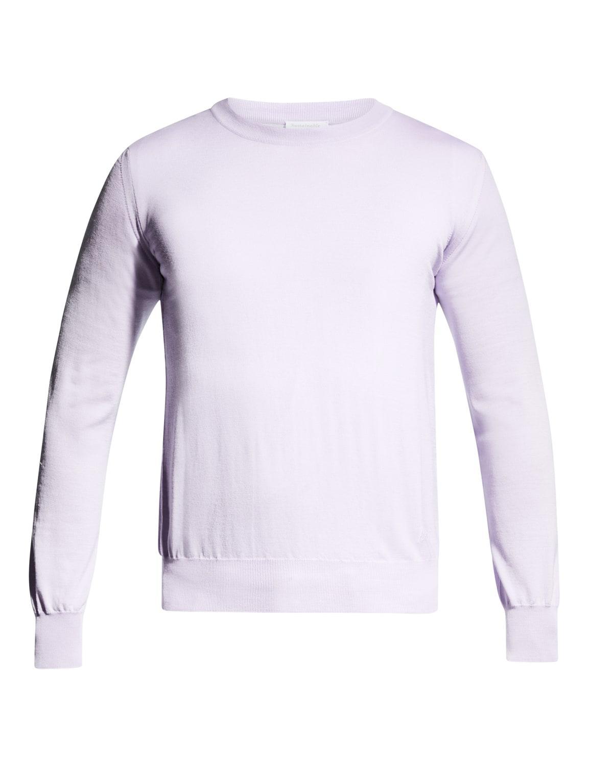 Mens Sustainable Wool Crewneck Sweater Product Image