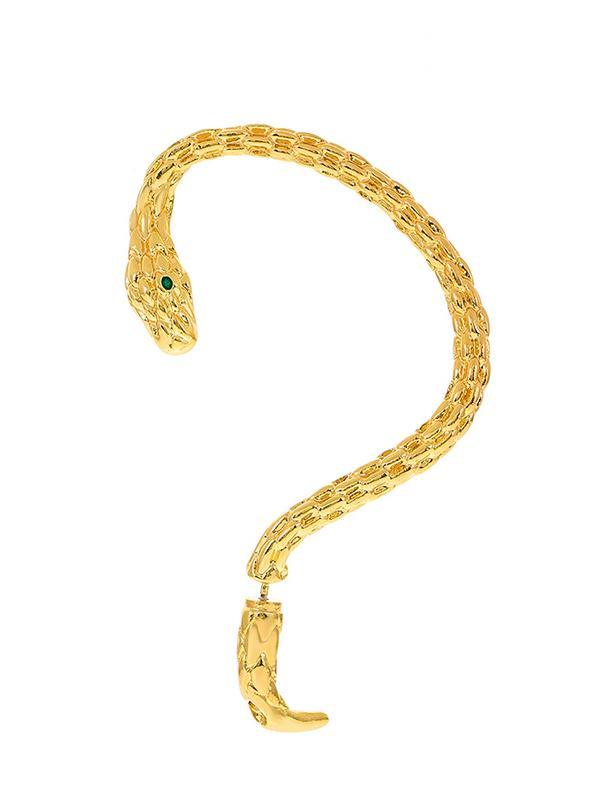 Snake Shape Earhook Earrings Product Image