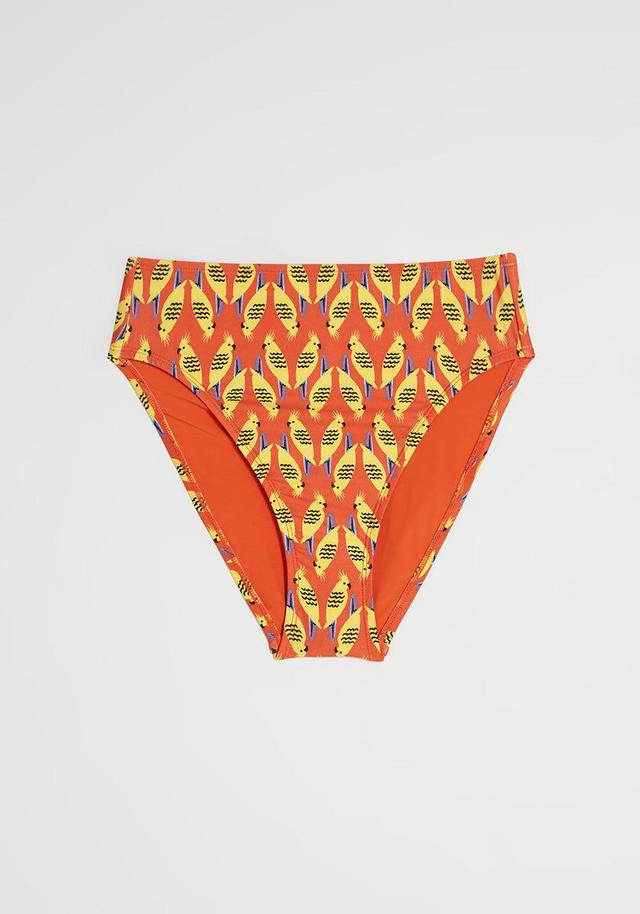 The Franky High-Waisted Bikini Bottom Product Image