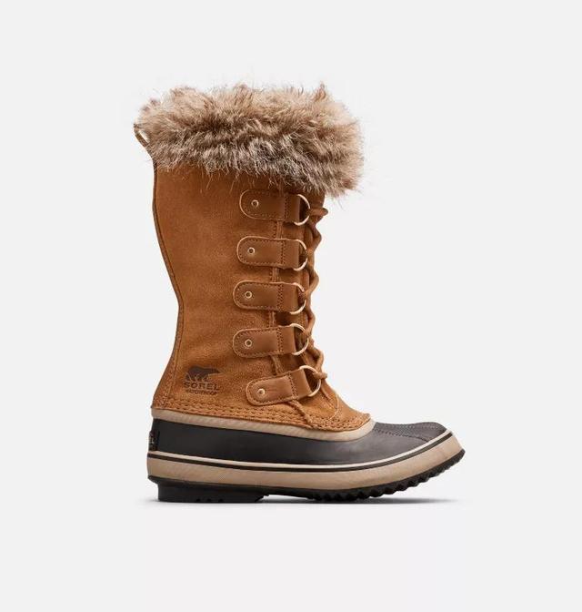 JOAN OF ARCTIC™ Women's Waterproof Boot Product Image