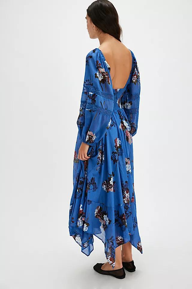 Morning Glory Maxi Dress Product Image