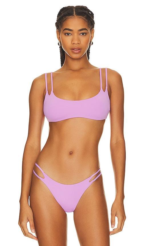 Zinnia Bikini Top Product Image