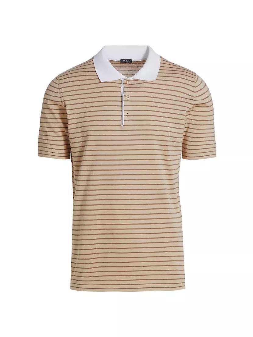 Striped Cotton Polo Shirt Product Image