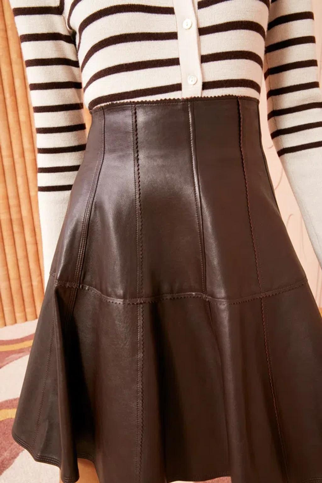 Kiara Leather Mini Flare Skirt In Espresso Product Image