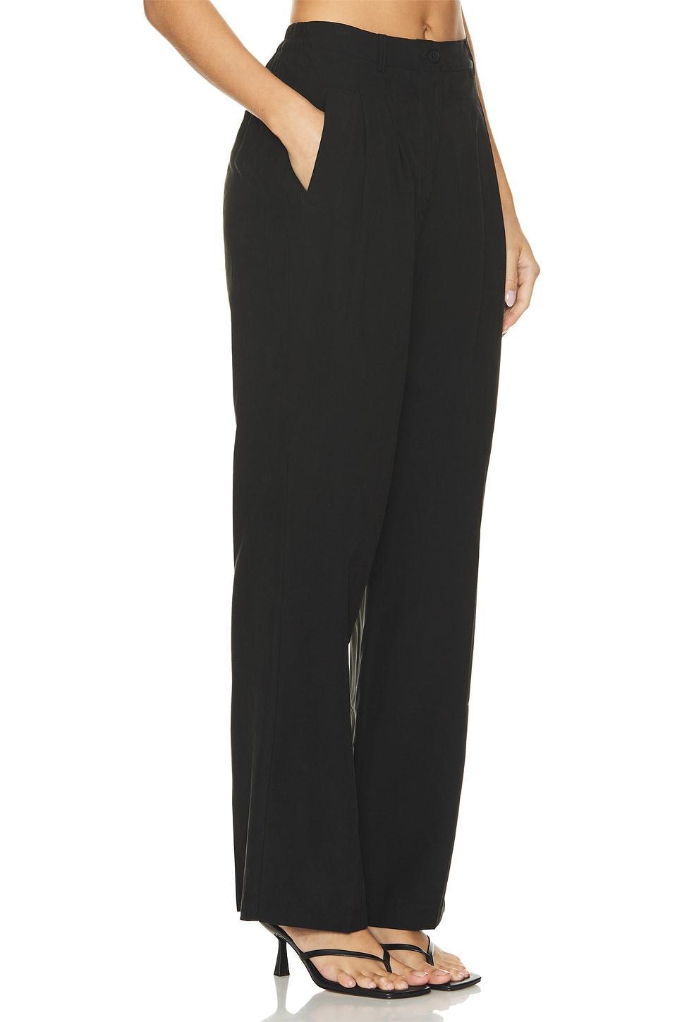 Blaze Pant Steve Madden Product Image