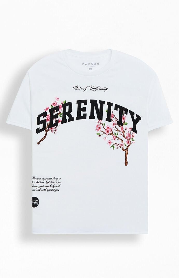 Men's Serenity T-Shirt Product Image