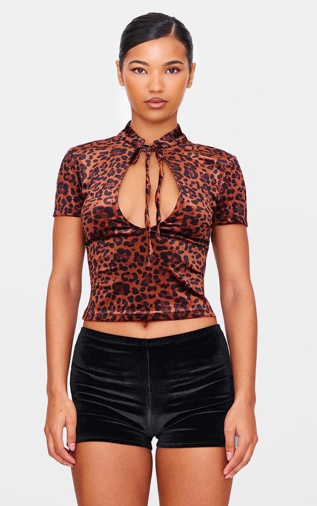 Brown Velvet Leopard Printed Tie Detail High Neck Top Product Image