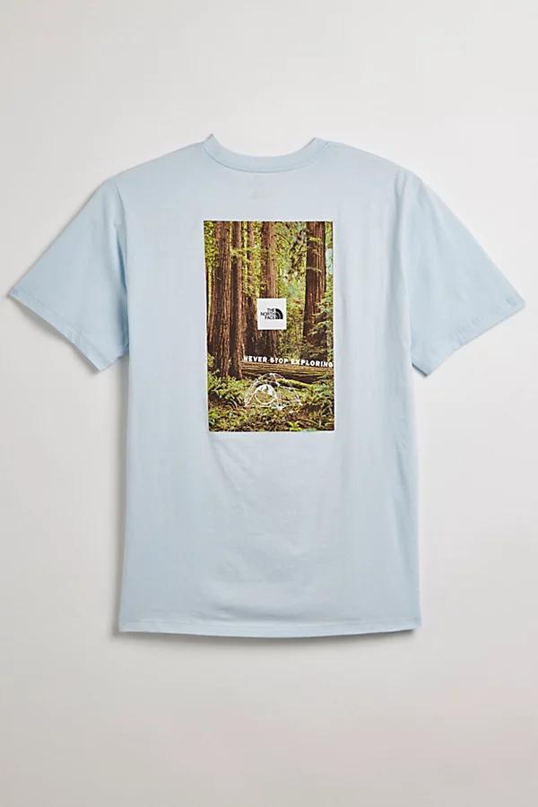 The North Face Forest Photo Tee Mens at Urban Outfitters Product Image