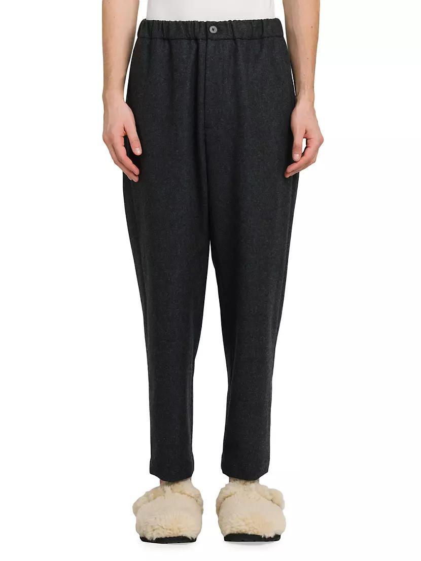 Flat-Front Wool Trousers Product Image