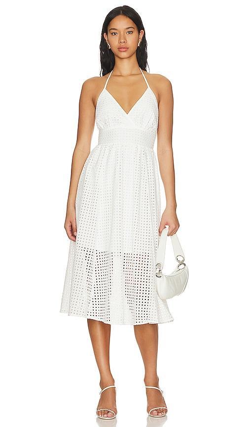 Steve Madden Denise Eyelet Cotton Halter Midi Dress Product Image