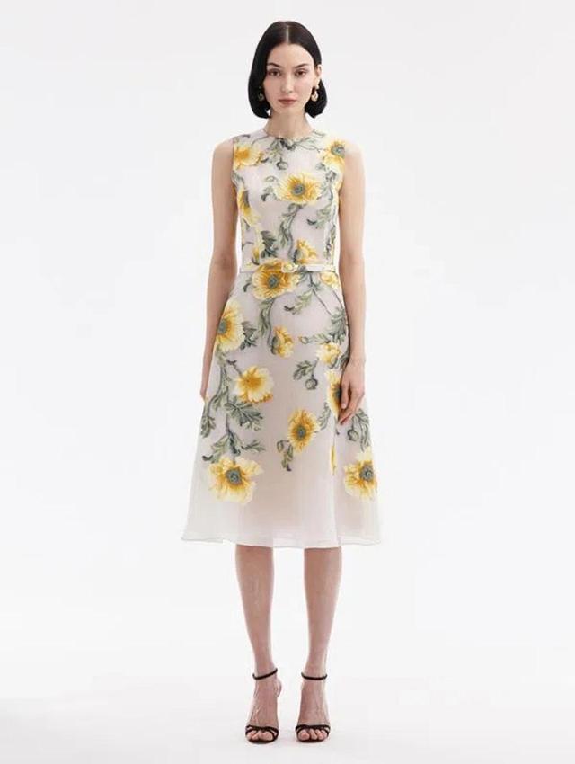 OSCAR DE LA RENTA Degrade Poppy Fil Coupe Dress In Grey Yellow Product Image