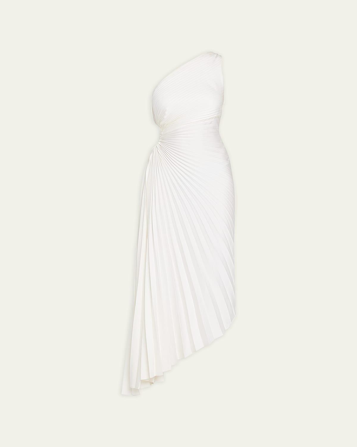 Womens Delfina Asymmetrical Pleated Dress Product Image