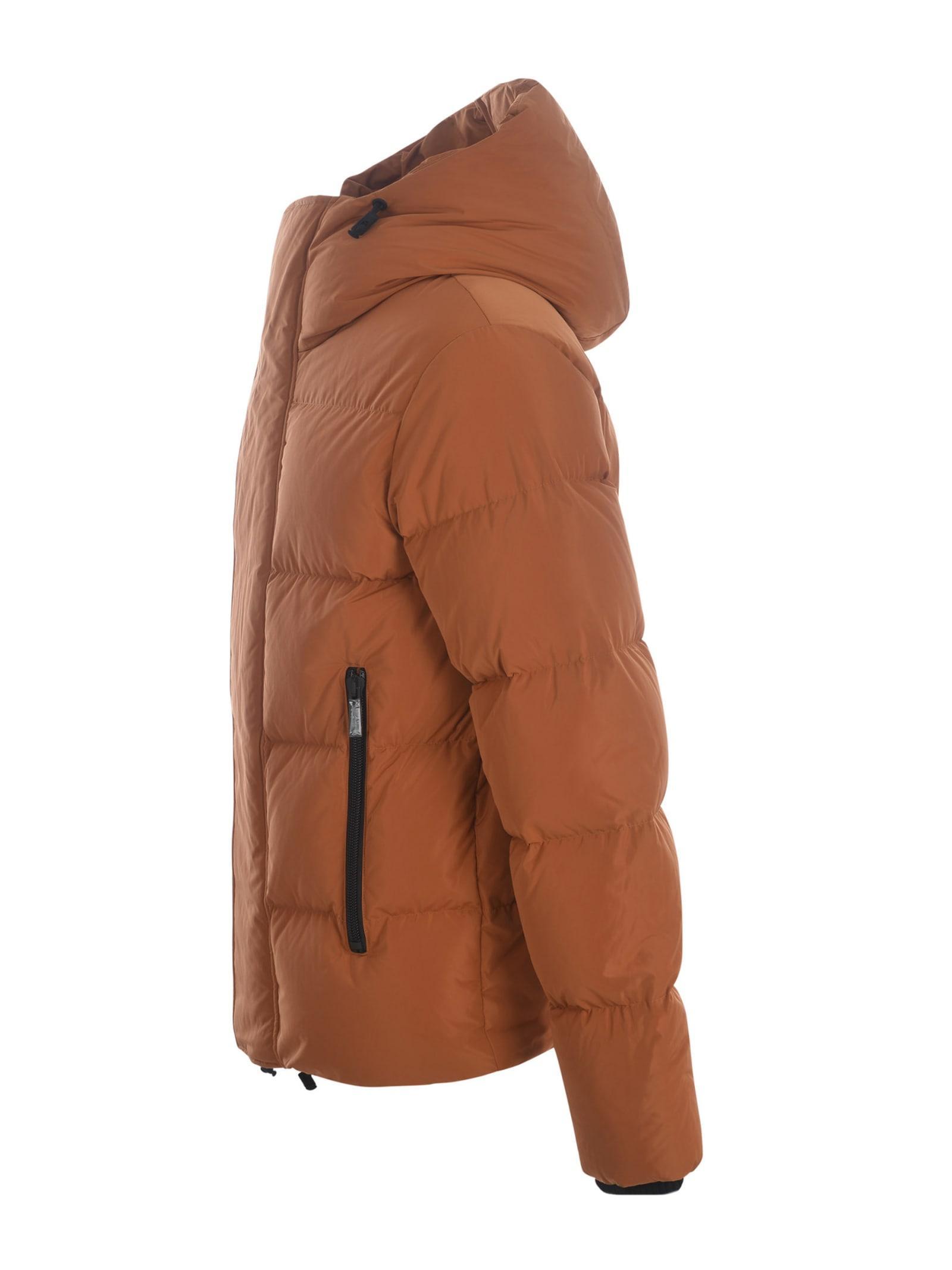 DSQUARED2 Down Jacket  In Nylon In Argilla Product Image