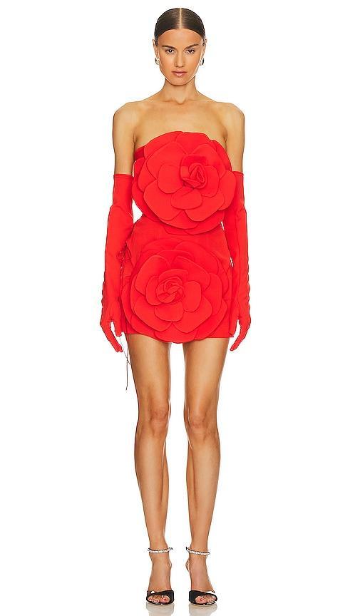 Rose Dress With Gloves Product Image