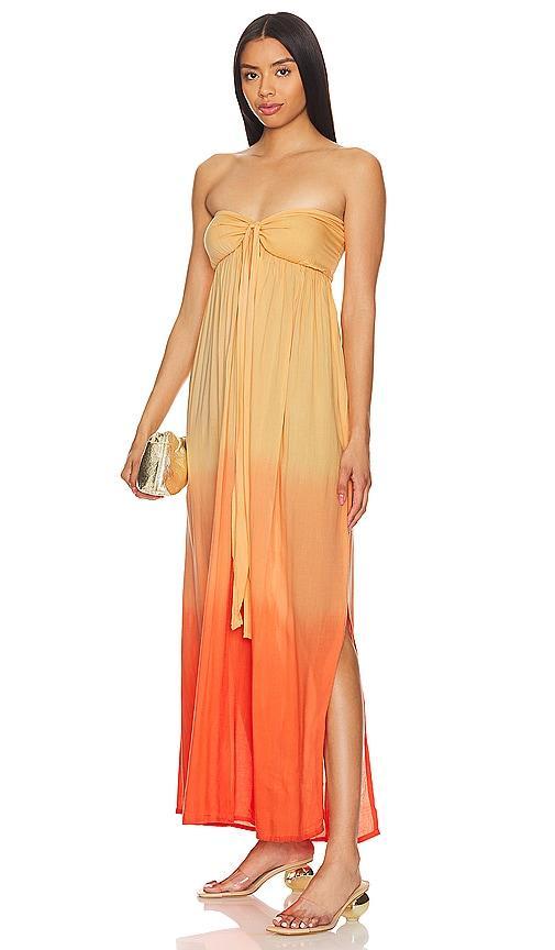 x REVOLVE Mele Maxi Dress Product Image