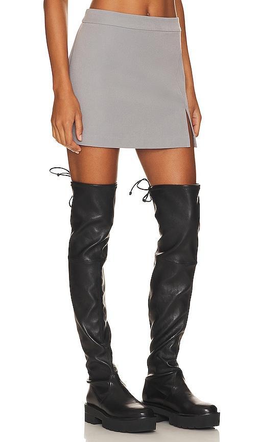 Steve Madden Cameron Miniskirt Product Image