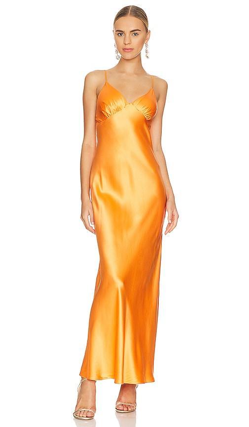 MAXIKLEID AMBER V Product Image