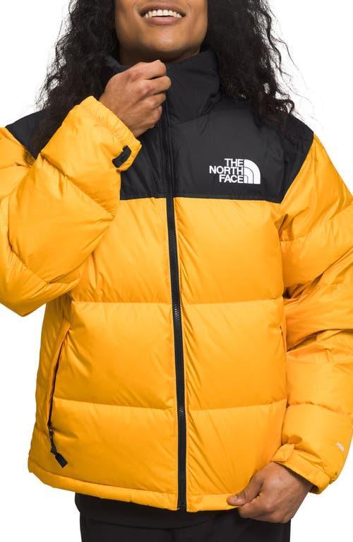 Mens 1996 Retro Nuptse Jacket Product Image