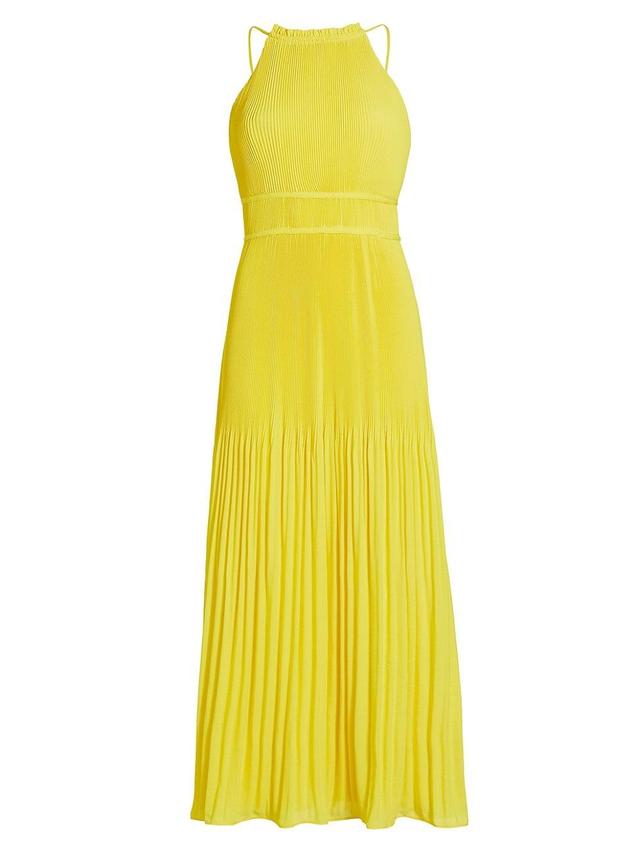 Womens Garren Pleated Maxi Dress Product Image