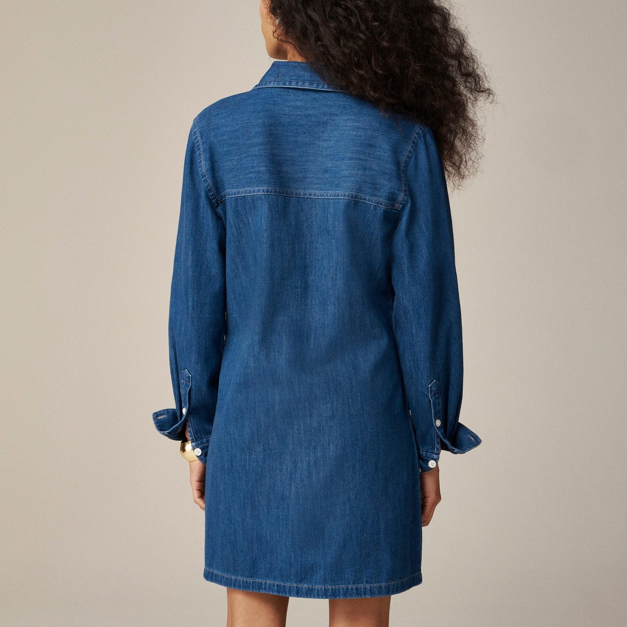 Harbour denim dress in indigo wash Product Image