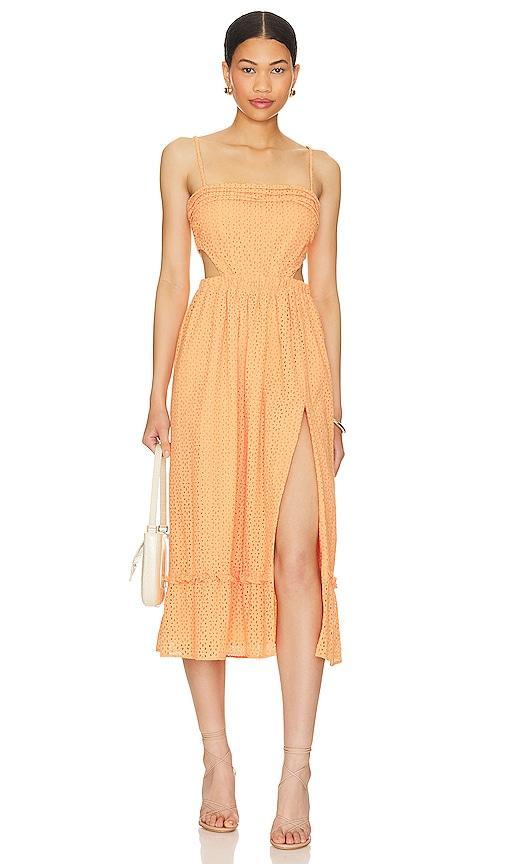 Lacy Midi Dress Product Image