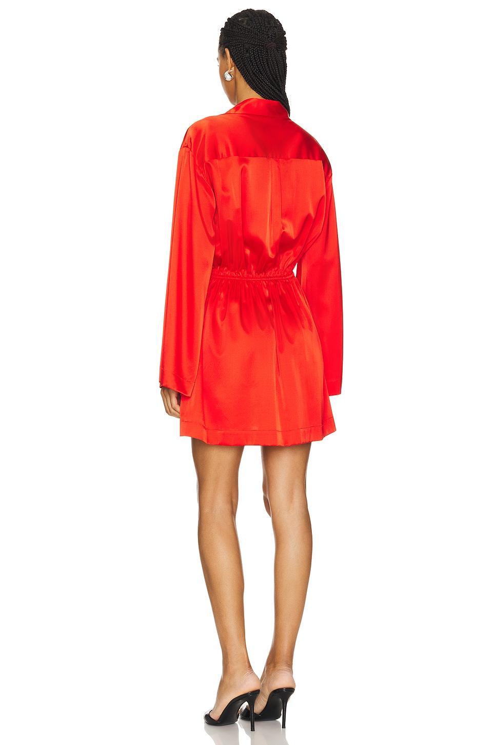 Aesha Mini Shirt Dress CAROLINE CONSTAS Product Image