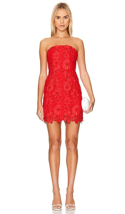 Roja Lace Mini Dress Product Image