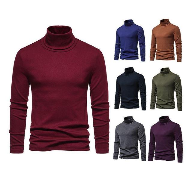 Long-Sleeve Turtleneck Plain Knit Top Product Image