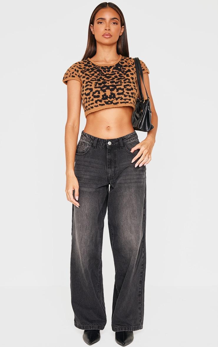 Leopard Print Textured Knit Basic Crop Top Product Image