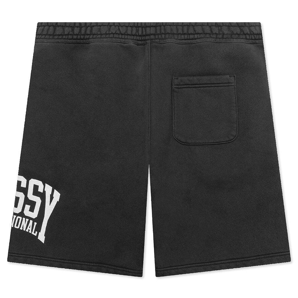 Stussy Intl Short - Washed Black Male Product Image