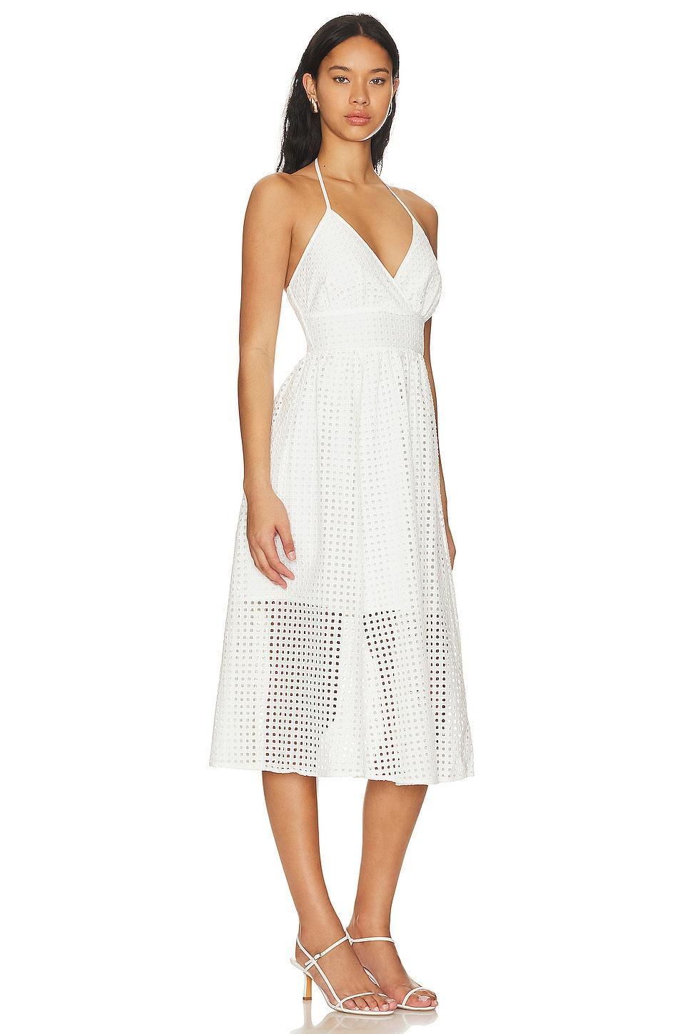 Denise Dress Steve Madden Product Image