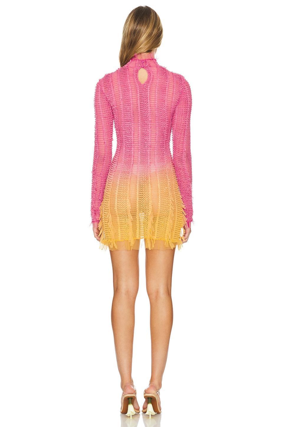 Angel Ombre Mini Dress Roberta Einer Product Image