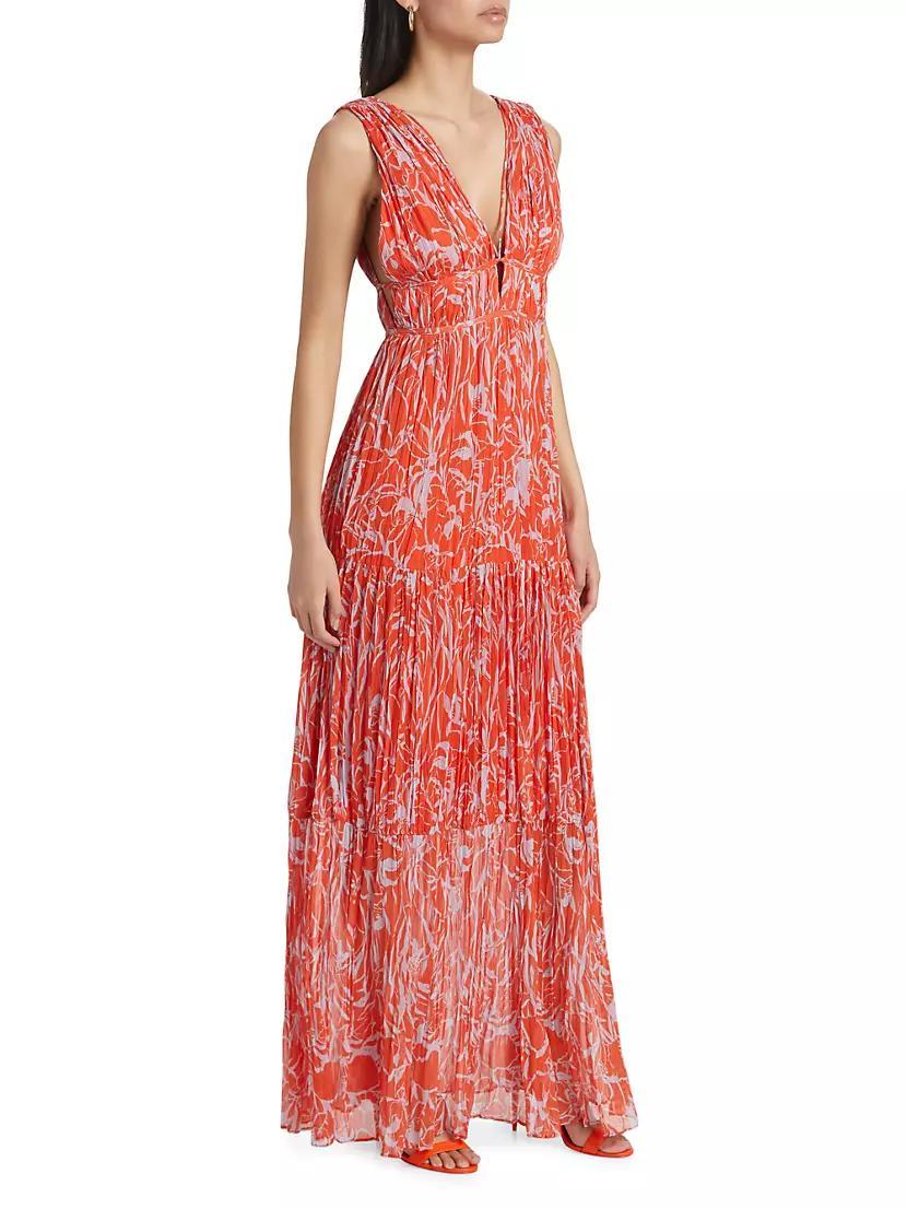 Pescadero Floral Maxi Dress Product Image