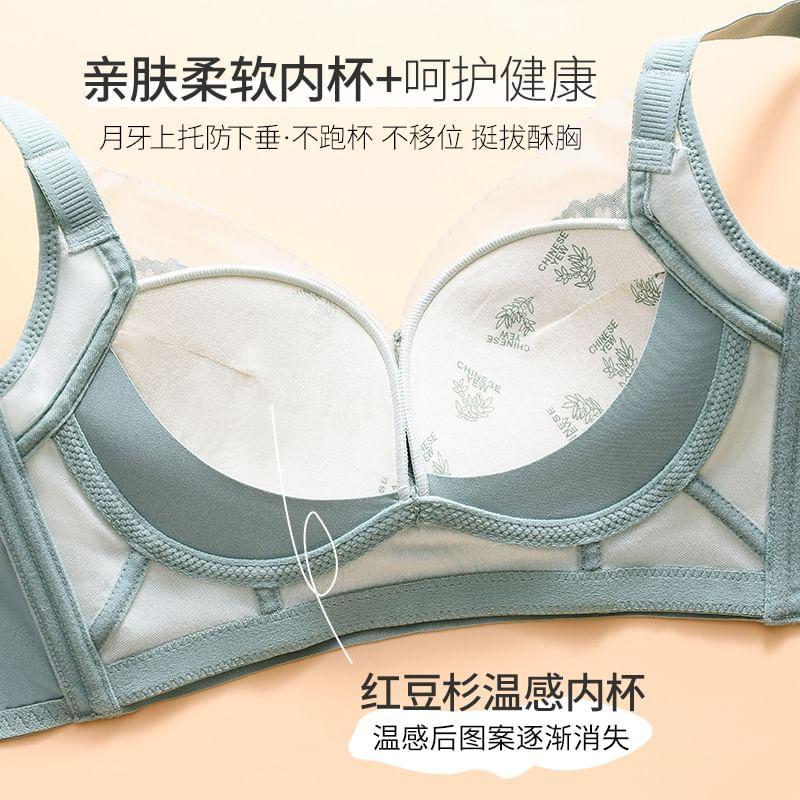 Lace Push Up Bra Product Image